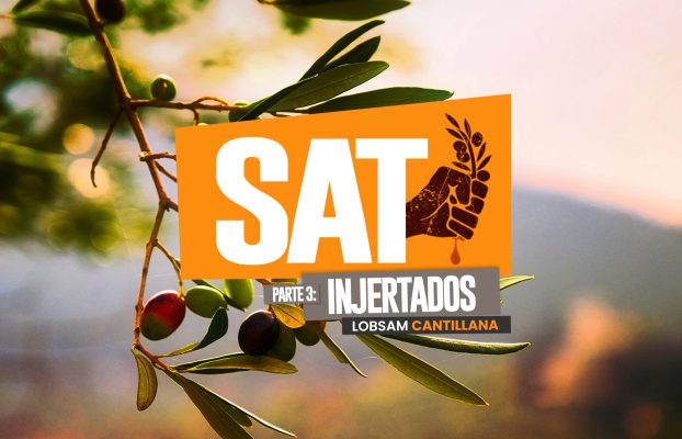 SAT 3: Injertados