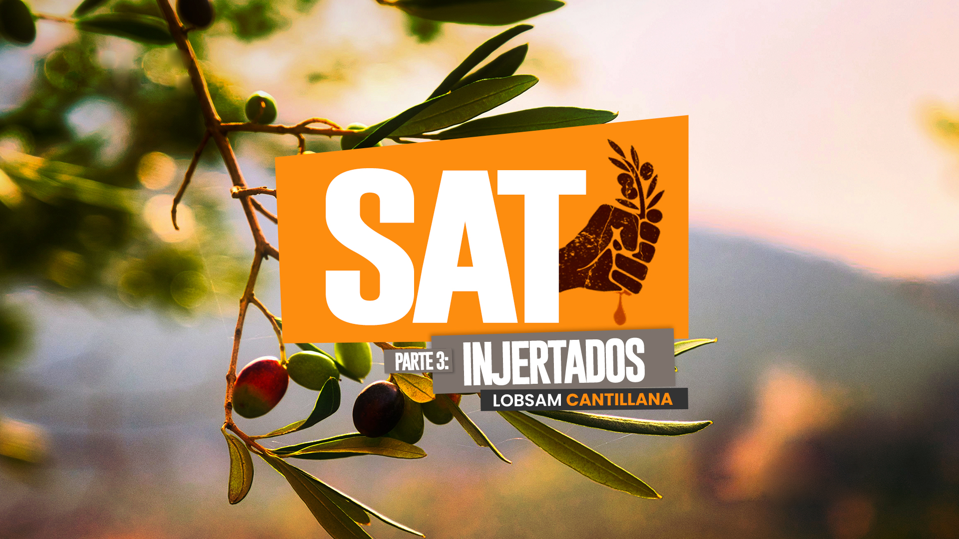 SAT 3: Injertados